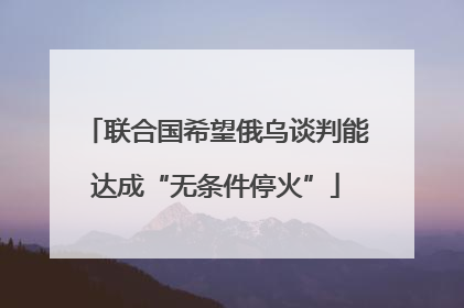 联合国希望俄乌谈判能达成“无条件停火”