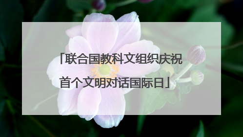 联合国教科文组织庆祝首个文明对话国际日