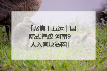 聚焦十五运｜国际式摔跤 河南9人入围决赛圈