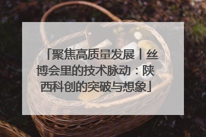 聚焦高质量发展丨丝博会里的技术脉动：陕西科创的突破与想象