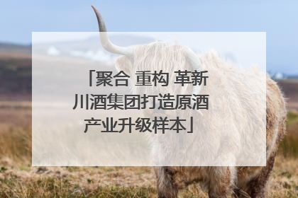 聚合 重构 革新 川酒集团打造原酒产业升级样本