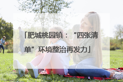 肥城桃园镇：“四张清单”环境整治再发力