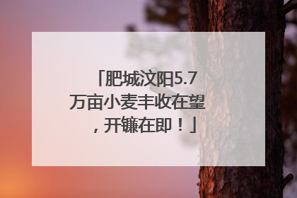 肥城汶阳5.7万亩小麦丰收在望，开镰在即！