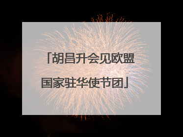 胡昌升会见欧盟国家驻华使节团