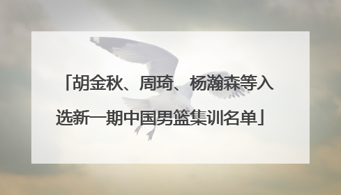 胡金秋、周琦、杨瀚森等入选新一期中国男篮集训名单