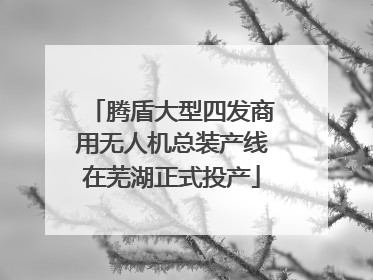 腾盾大型四发商用无人机总装产线在芜湖正式投产
