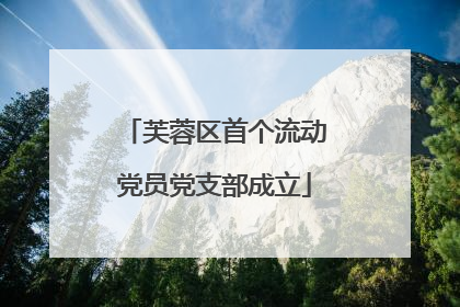 芙蓉区首个流动党员党支部成立