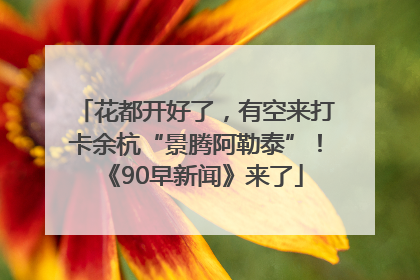 花都开好了，有空来打卡余杭“景腾阿勒泰”！《90早新闻》来了