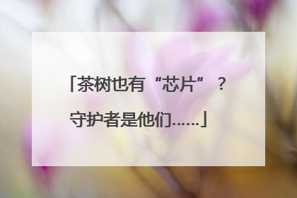 茶树也有“芯片”？守护者是他们……