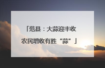 范县：大蒜迎丰收 农民增收有胜“蒜”