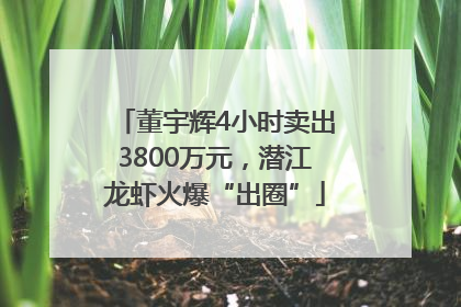董宇辉4小时卖出3800万元，潜江龙虾火爆“出圈”