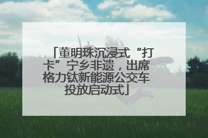 董明珠沉浸式“打卡”宁乡非遗，出席格力钛新能源公交车投放启动式