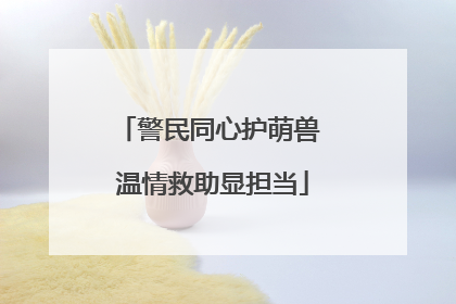警民同心护萌兽 温情救助显担当
