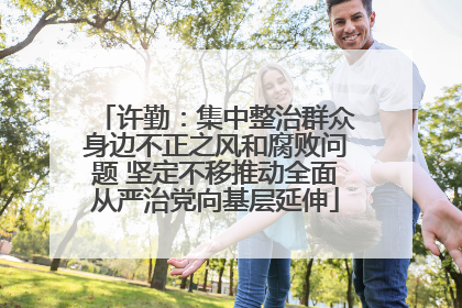 许勤：集中整治群众身边不正之风和腐败问题 坚定不移推动全面从严治党向基层延伸