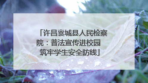 许昌襄城县人民检察院：普法宣传进校园 筑牢学生安全防线