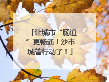让城市“肠道”更畅通！沙市城管行动了！