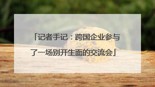 记者手记：跨国企业参与了一场别开生面的交流会