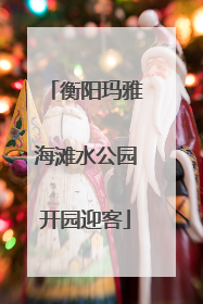 衡阳玛雅海滩水公园开园迎客