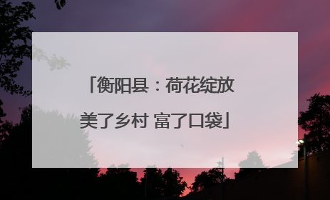 衡阳县：荷花绽放 美了乡村 富了口袋