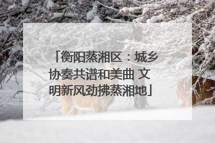 衡阳蒸湘区：城乡协奏共谱和美曲 文明新风劲拂蒸湘地