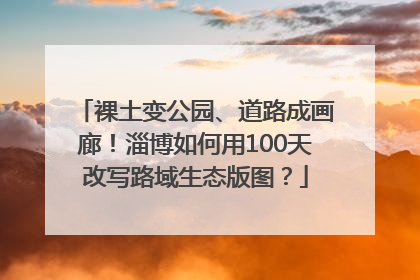 裸土变公园、道路成画廊！淄博如何用100天改写路域生态版图？