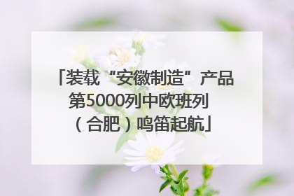 装载“安徽制造”产品 第5000列中欧班列（合肥）鸣笛起航