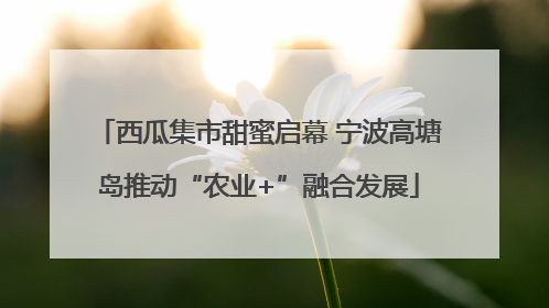 西瓜集市甜蜜启幕 宁波高塘岛推动“农业+”融合发展