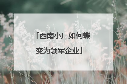 西南小厂如何蝶变为领军企业