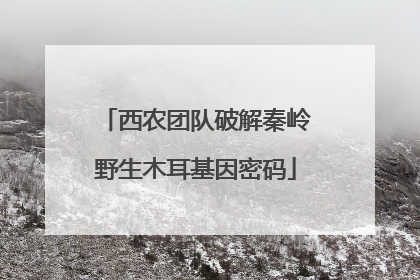 西农团队破解秦岭野生木耳基因密码