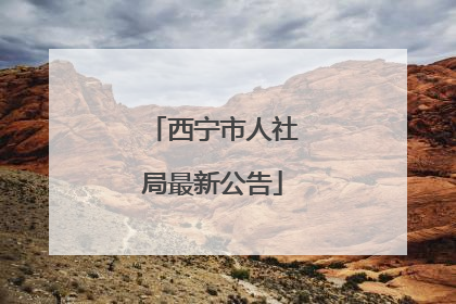 西宁市人社局最新公告