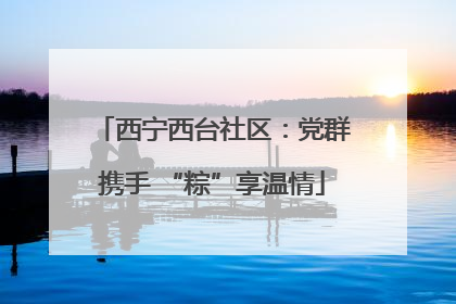 西宁西台社区：党群携手 “粽”享温情