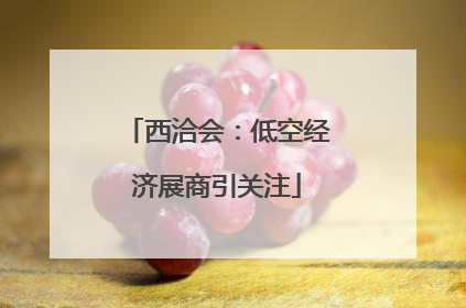 西洽会：低空经济展商引关注