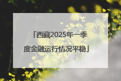西藏2025年一季度金融运行情况平稳