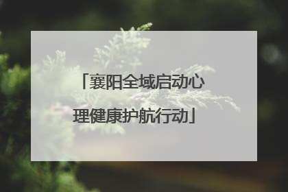 襄阳全域启动心理健康护航行动