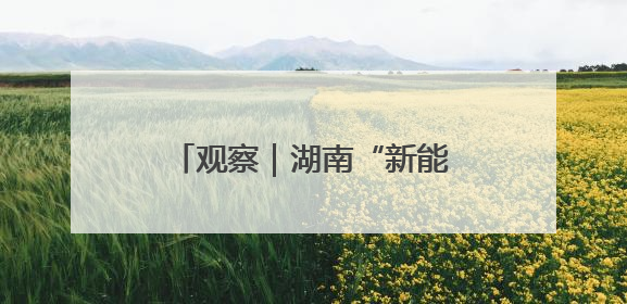 观察｜湖南“新能源机车供需对接会”释放三大信号