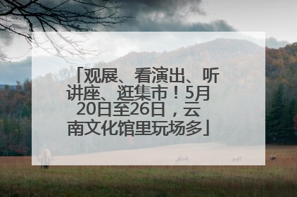 观展、看演出、听讲座、逛集市！5月20日至26日，云南文化馆里玩场多
