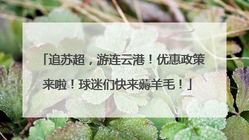 追苏超，游连云港！优惠政策来啦！球迷们快来薅羊毛！