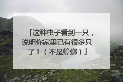 这种虫子看到一只，说明你家里已有很多只了！（不是蟑螂）