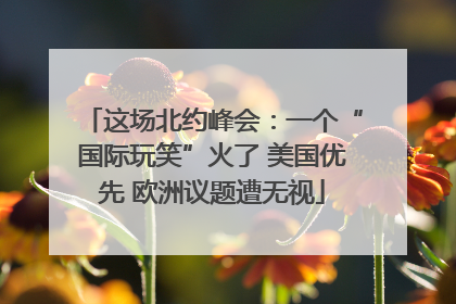 这场北约峰会：一个“国际玩笑”火了 美国优先 欧洲议题遭无视