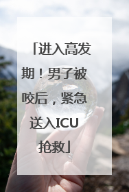 进入高发期！男子被咬后，紧急送入ICU抢救