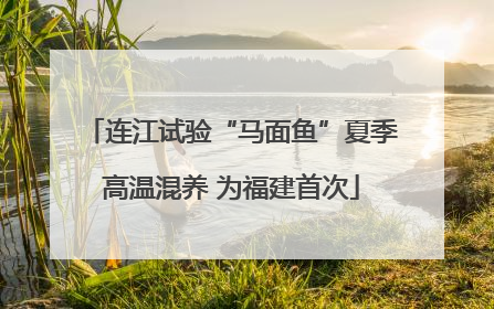 连江试验“马面鱼”夏季高温混养 为福建首次