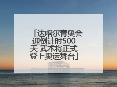 达喀尔青奥会迎倒计时500天 武术将正式登上奥运舞台