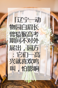辽宁一动物园白眉长臂猿猴高考期间不对外展出，园方：它们一高兴就喜欢鸣叫，怕影响考试