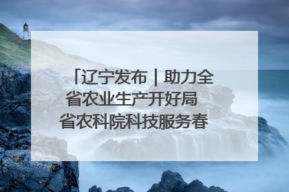 辽宁发布｜助力全省农业生产开好局 省农科院科技服务春耕备耕成效显著