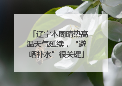 辽宁本周晴热高温天气延续，“避晒补水”很关键