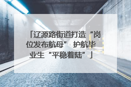 辽源路街道打造“岗位发布航母” 护航毕业生“平稳着陆”