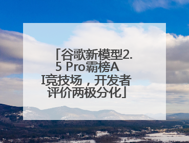 谷歌新模型2.5 Pro霸榜AI竞技场，开发者评价两极分化