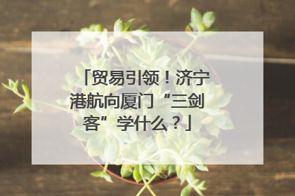 贸易引领！济宁港航向厦门“三剑客”学什么？
