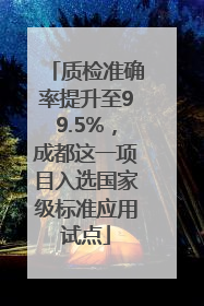 质检准确率提升至99.5%，成都这一项目入选国家级标准应用试点