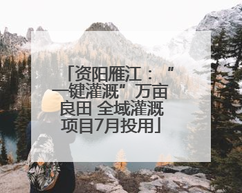资阳雁江：“一键灌溉”万亩良田 全域灌溉项目7月投用